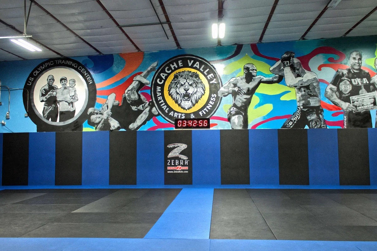 Jiu-Jitsu Logan, Utah (Top Defense & Fitness Gym / TDF Gym) facility image
