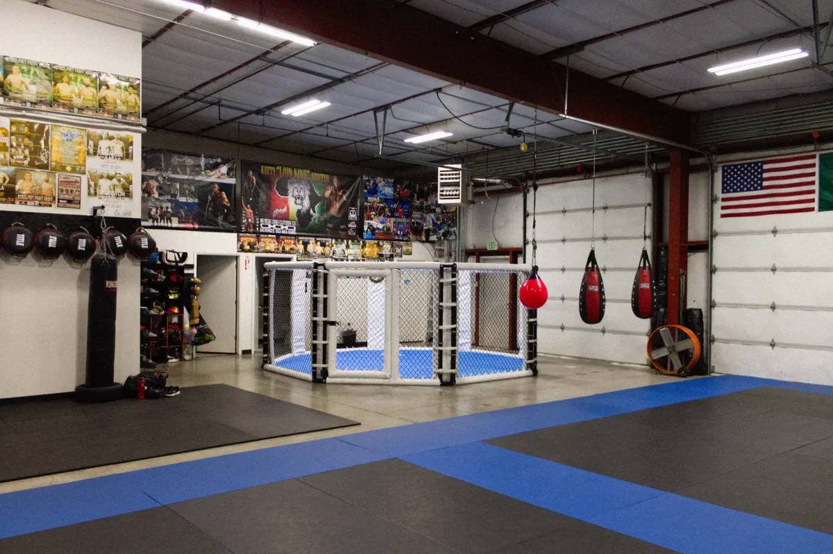 Jiu-Jitsu Logan, Utah (Top Defense & Fitness Gym / TDF Gym) facility image