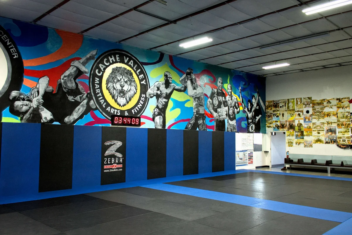 Jiu-Jitsu Logan, Utah (Top Defense & Fitness Gym / TDF Gym) facility image