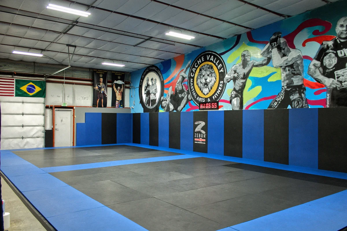 Jiu-Jitsu Logan, Utah (Top Defense & Fitness Gym / TDF Gym) facility image