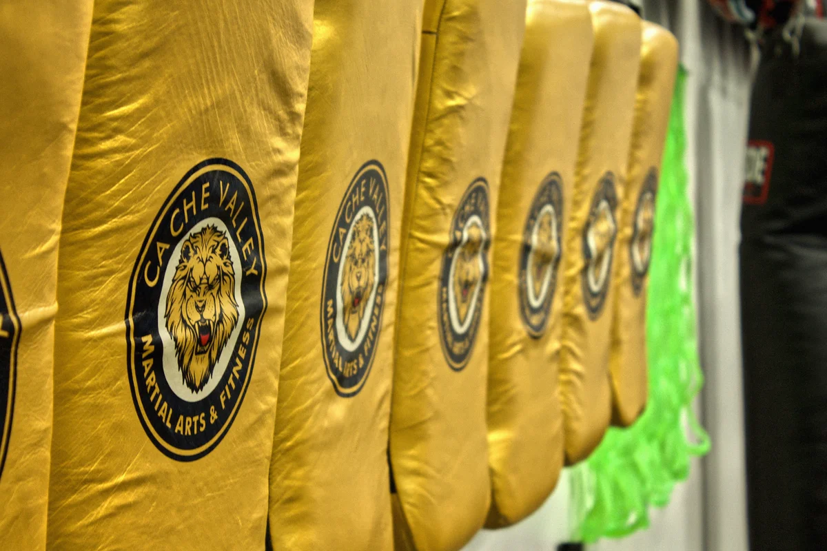 Jiu-Jitsu Logan, Utah (Top Defense & Fitness Gym / TDF Gym) facility image
