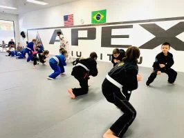 Apex Jiu Jitsu facility image