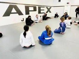 Apex Jiu Jitsu facility image