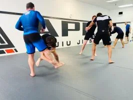 Apex Jiu Jitsu facility image