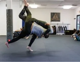 Forge Jiu Jitsu facility image