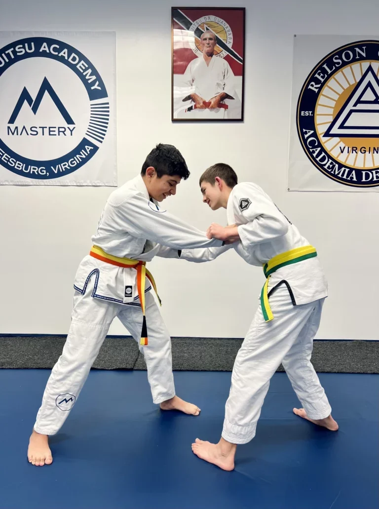 Mastery Jiu-Jitsu facility image