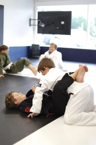Original Brazilian Jiu-Jitsu (Arlington) facility image