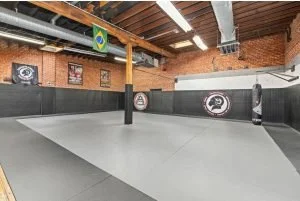 Renaissance Academy of Martial Arts facility image