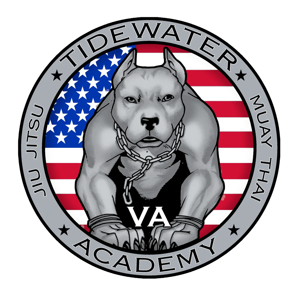 Tidewater Brazilian Jiu Jitsu Academy facility image