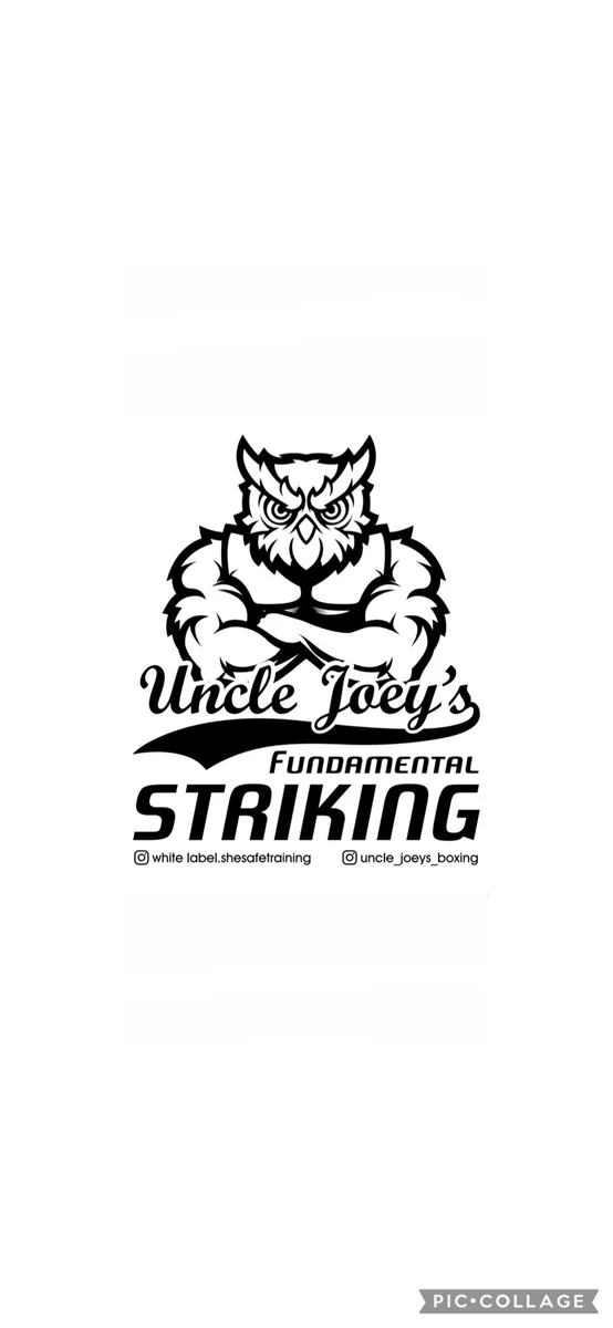 White Label (BJJ Gym) / SHESAFE Training academy logo