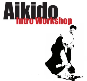 Aikido of Champlain Valley academy logo