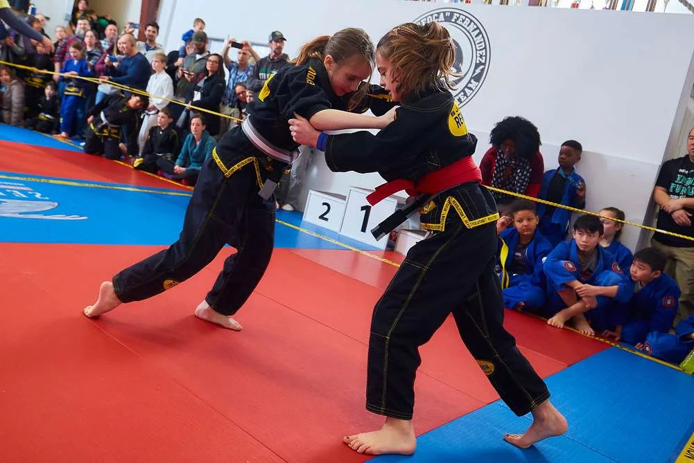 VT BJJ / Vermont Brazilian Jiu-Jitsu facility image