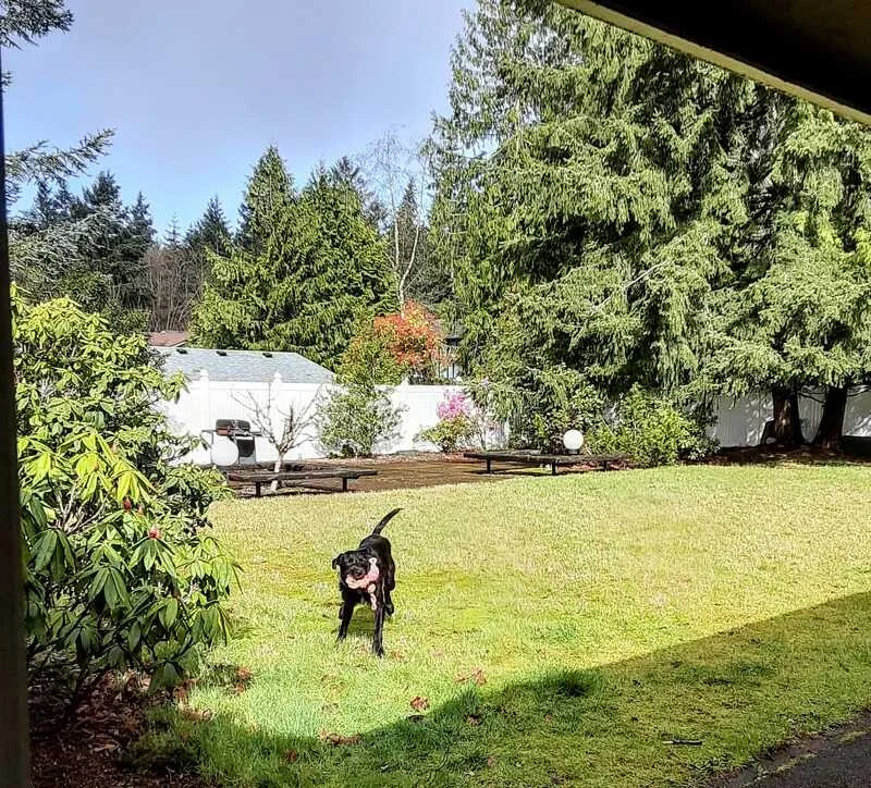 Alliance Puyallup Brazilian Jiu-Jitsu facility image