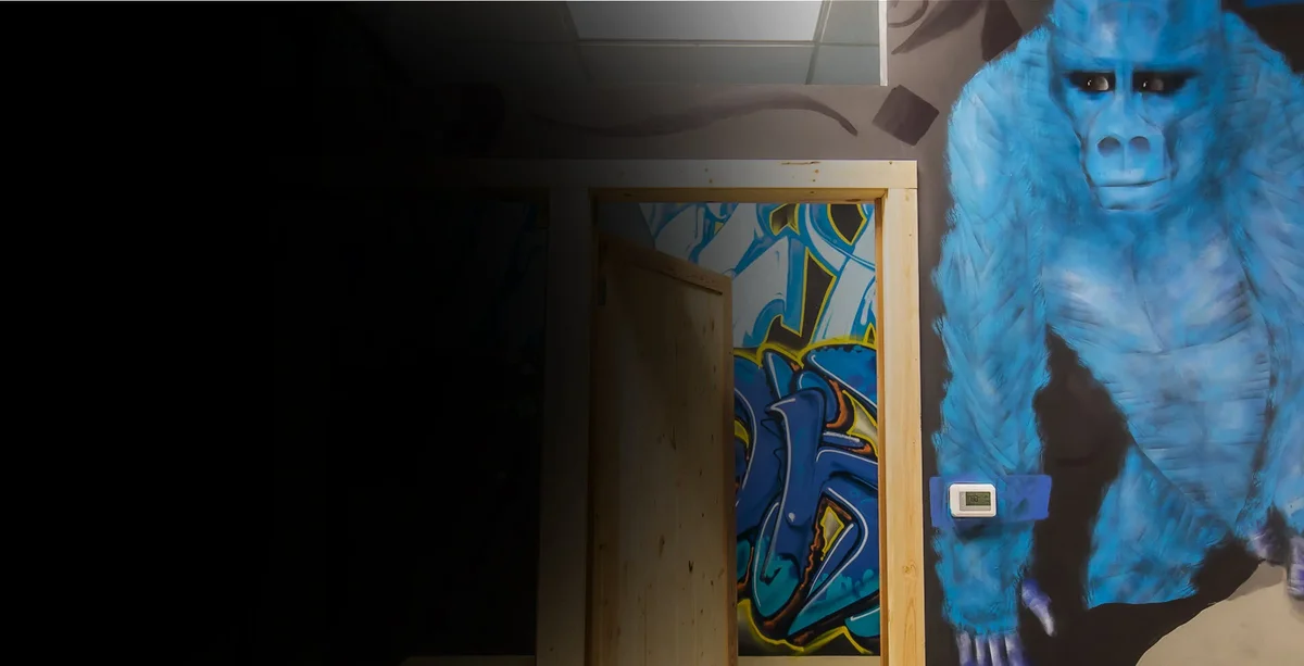 Defiance Jiu Jitsu facility image
