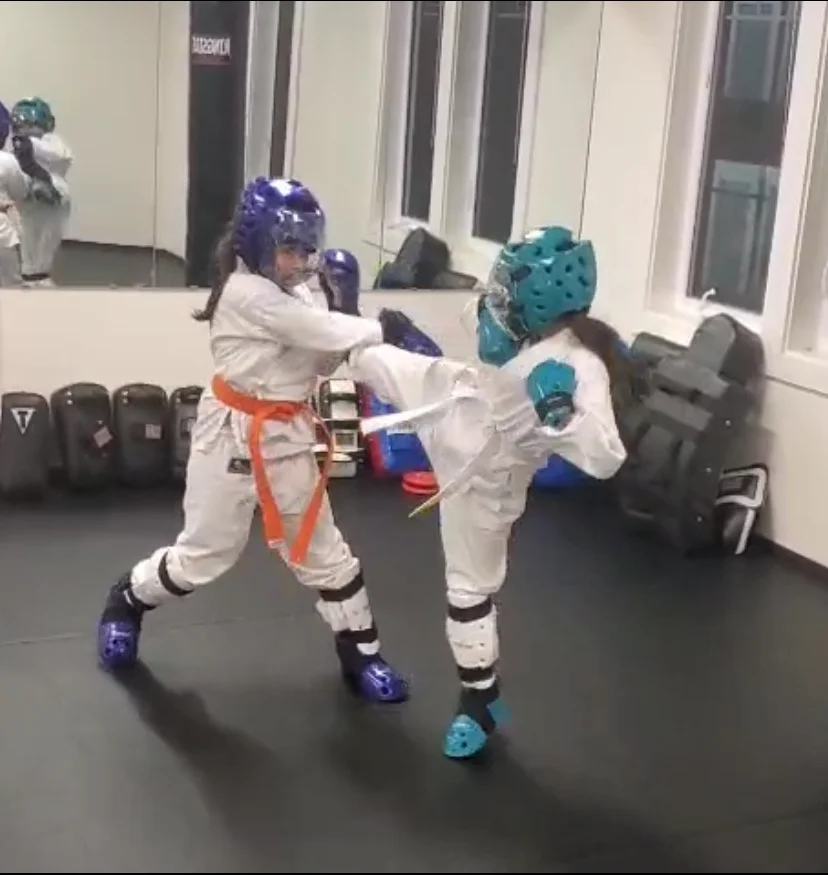 Executive Martial Arts Coaching in Issaquah facility image