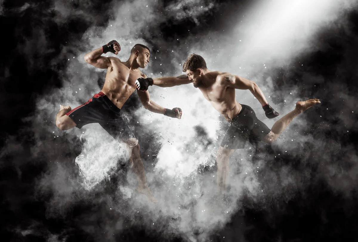 Executive Martial Arts Coaching in Issaquah facility image