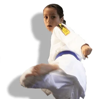 Family Black Belt Academy facility image