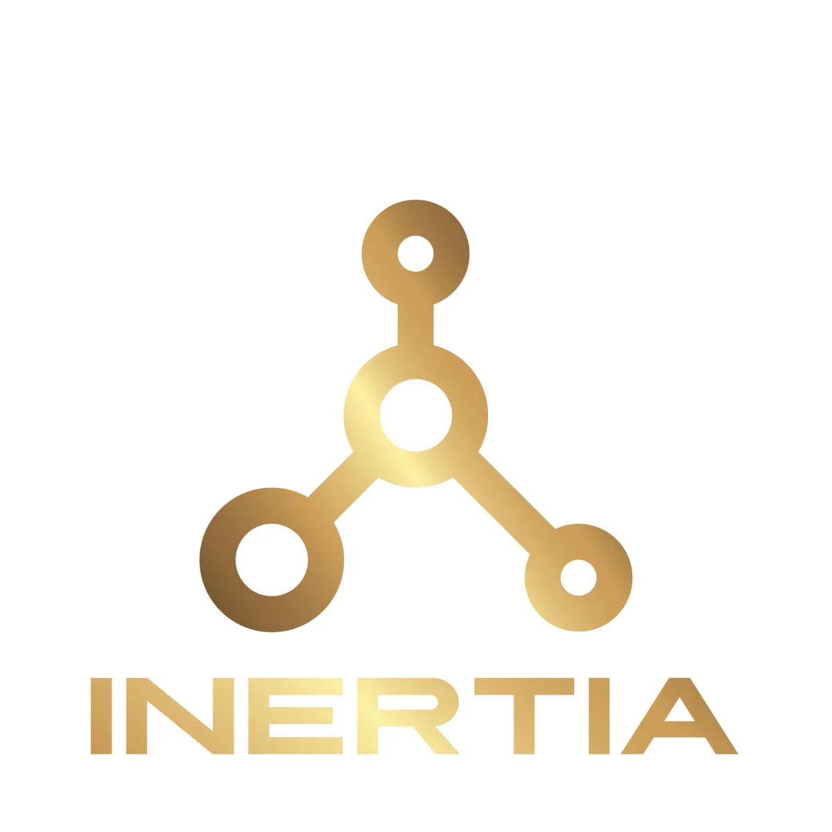 Inertia Brazilian Jiu Jitsu facility image