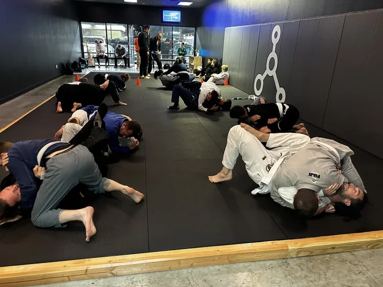 Inertia Brazilian Jiu Jitsu facility image