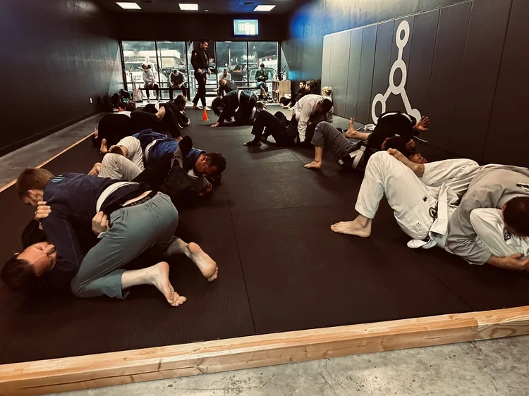 Inertia Brazilian Jiu Jitsu facility image