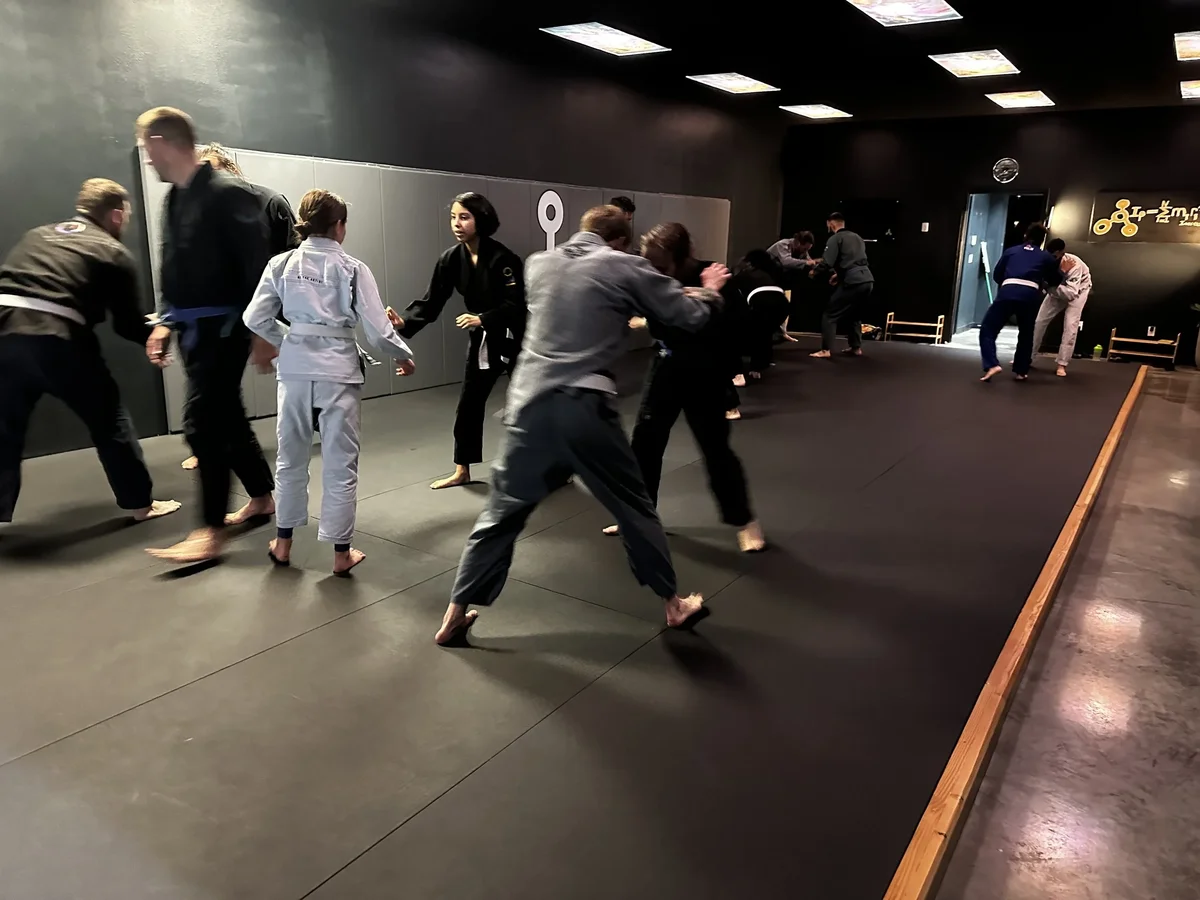 Inertia Brazilian Jiu Jitsu facility image