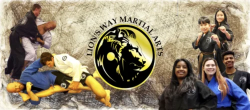 Lion's Way Martial Arts facility image