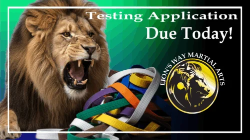 Lion's Way Martial Arts facility image