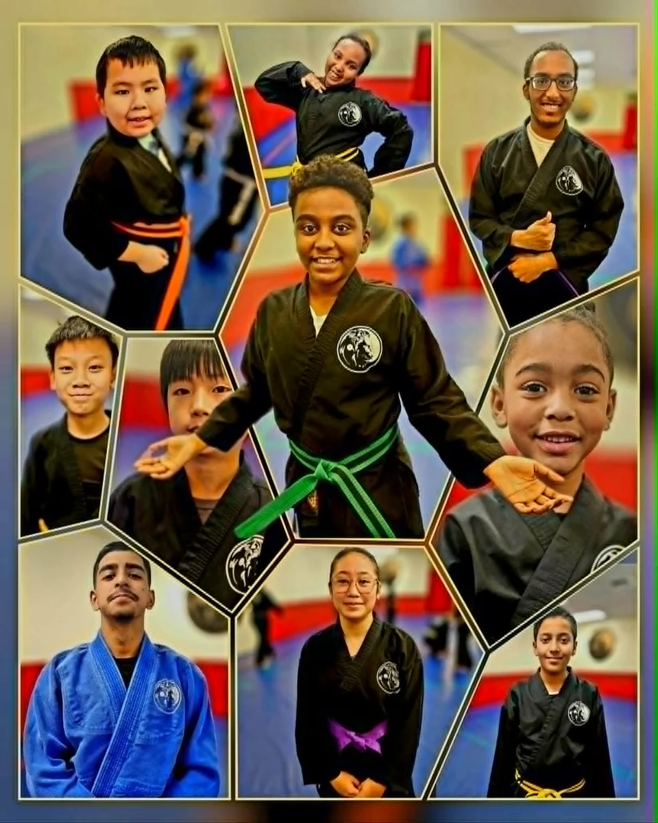 Lion's Way Martial Arts facility image