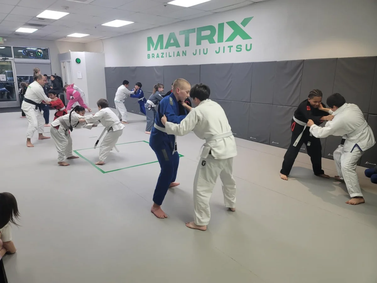 Matrix BJJ - Brazilian Jiu Jitsu Academy facility image