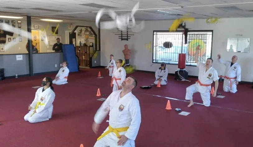 UNITED STUDIOS OF SELF DEFENSE facility image