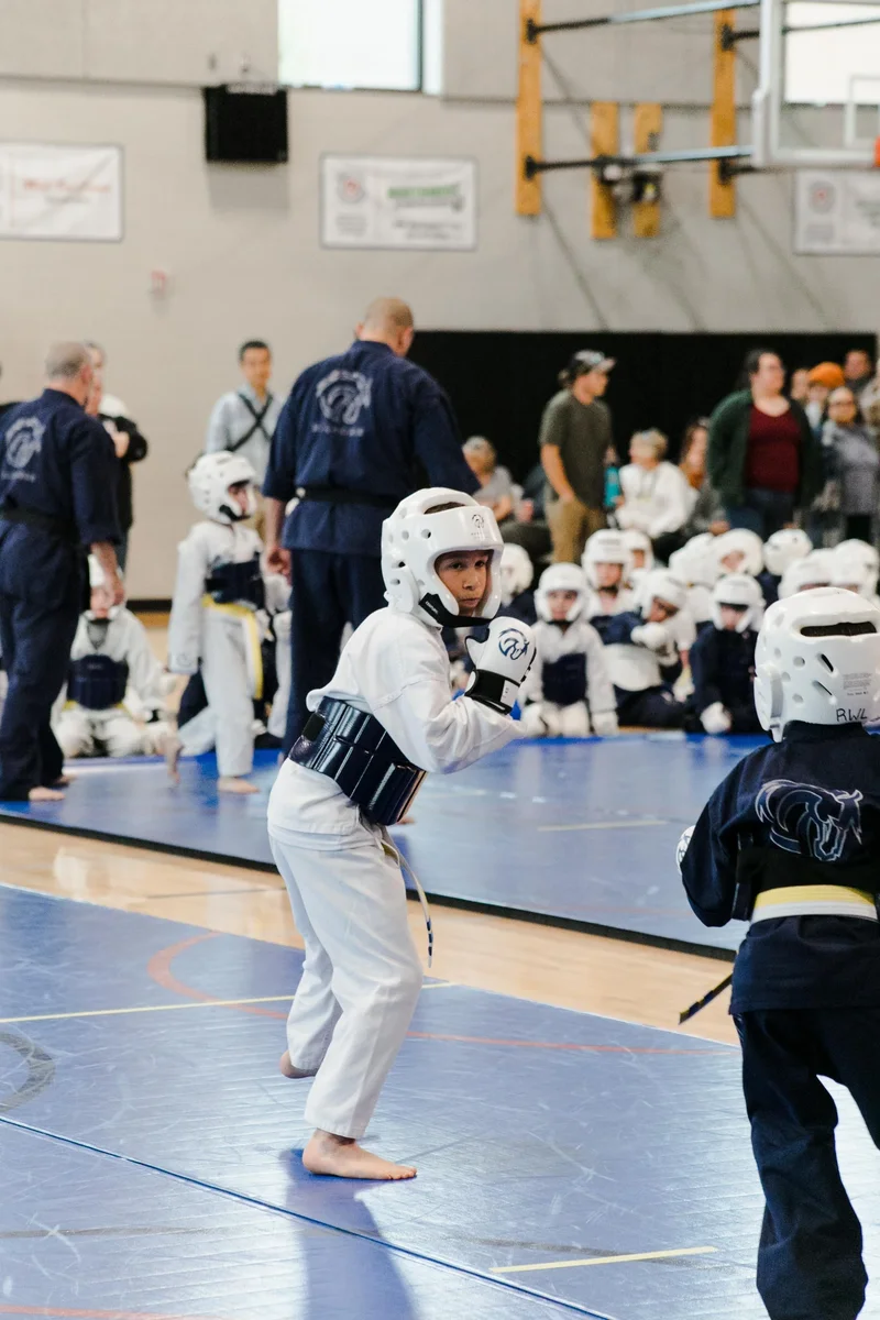 Warhorse Martial Arts facility image