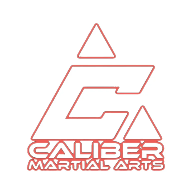 Caliber Martial Arts facility image