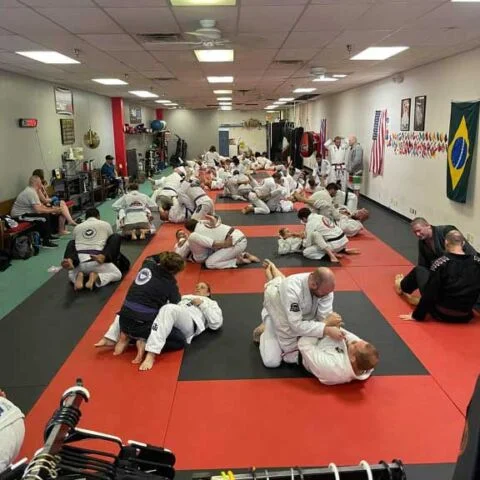 Fluid Jiu Jitsu academy logo