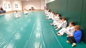 Gracie Jiu-Jitsu Shawano facility image