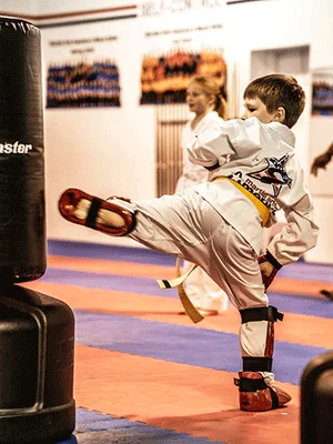 Martial Arts America academy logo