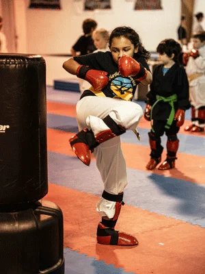 Martial Arts America facility image