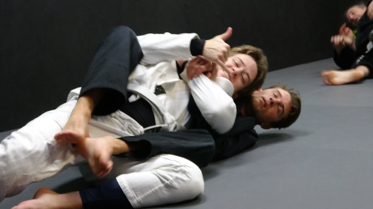 Nibiru Brazilian Jiu-Jitsu facility image