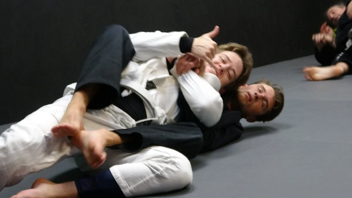 Nibiru Brazilian Jiu-Jitsu facility image