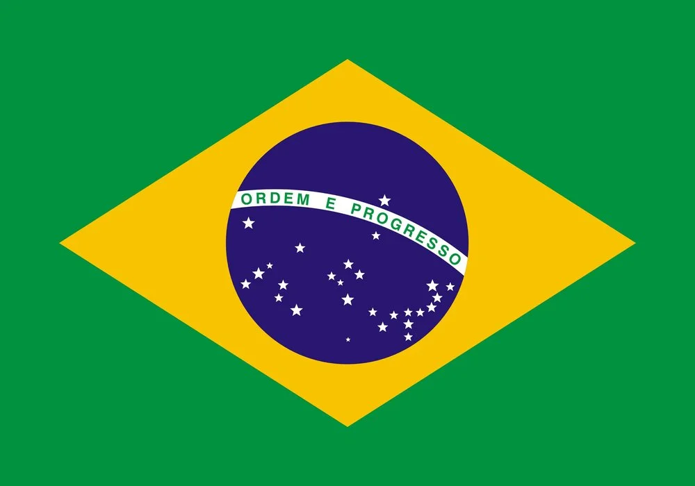 Nibiru Brazilian Jiu-Jitsu facility image