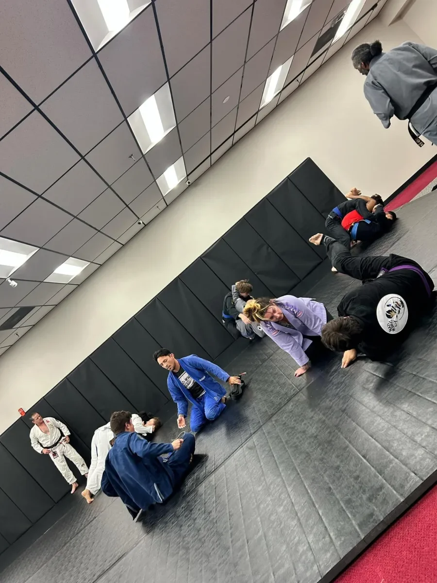 MadHouse BJJ facility image