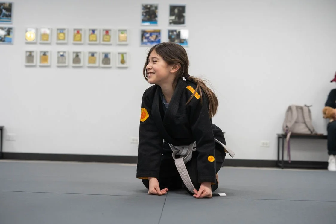 Artistic Jiu Jitsu School academy logo