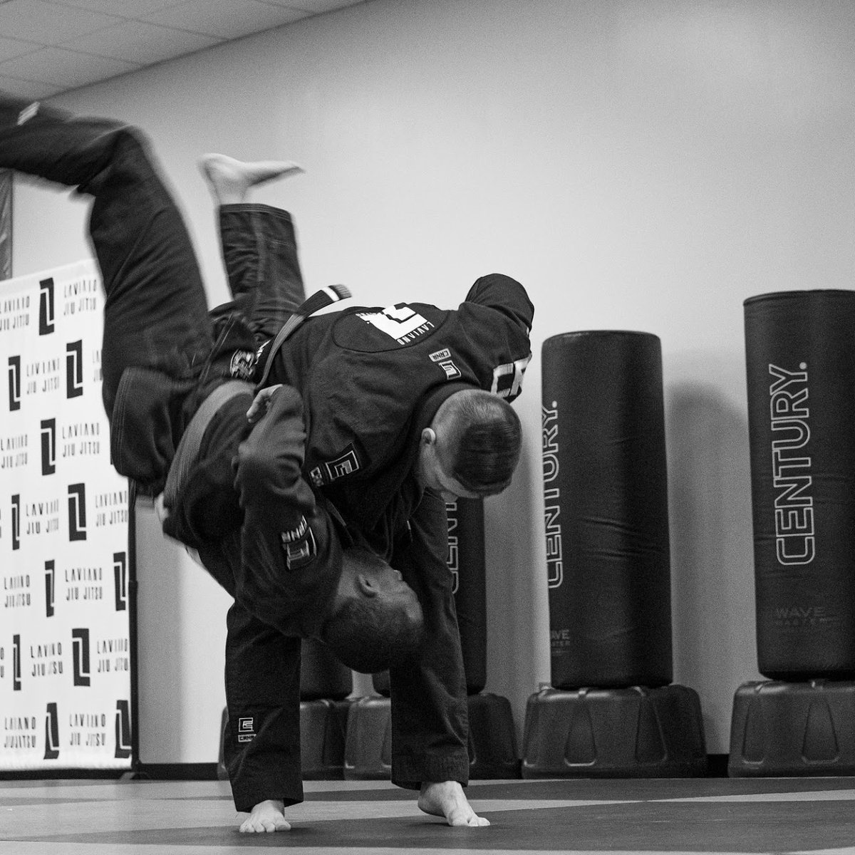Laviano Jiu Jitsu academy logo