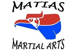 Main Street Martial Arts academy logo