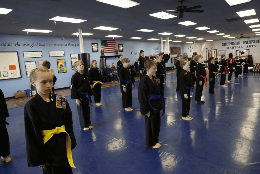 Shepherd-Warrior Martial Arts academy logo