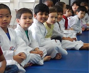 Silva Martial Arts academy logo