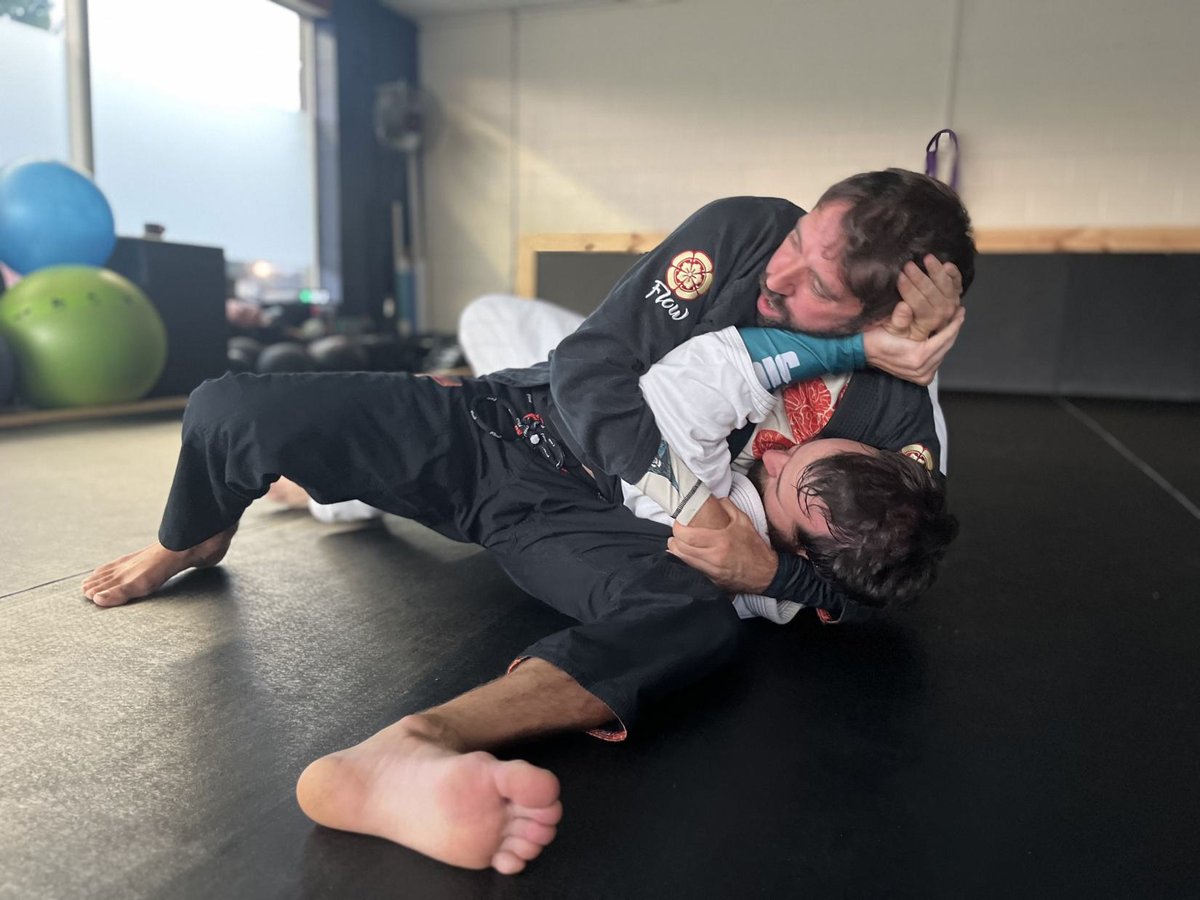 Unity BJJ and Biomechanics academy logo