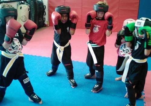 Mike Price’s Martial Arts and Fitness facility image